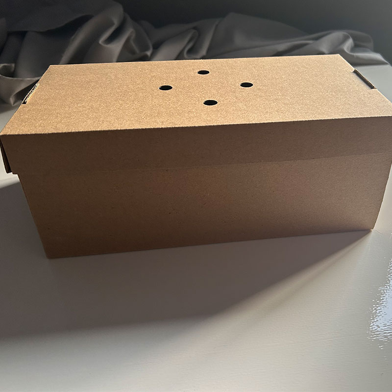 Premium burger boxes-Medium